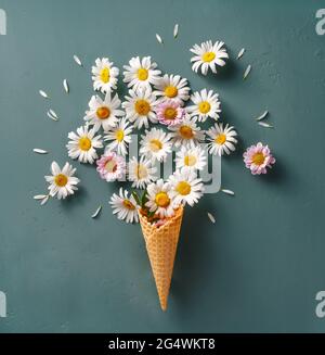 Erbe Botanica Wall Art Set Botanico. Decorazione stile di vita. Cono gelato con fiori rosa, fiori di camomilla su sfondo blu. Disposizione piatta. Via superiore Foto Stock