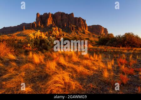 Montagne superstition al tramonto con cactus in primo piano Foto Stock