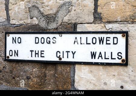 York City Walls 'No Dogs Allowed Sign' Foto Stock