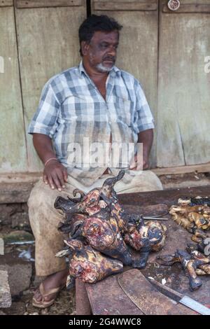 Capre teste per la vendita nel mercato con venditore seduto fuori fuoco in background, Mysore, Karnataka, india Foto Stock