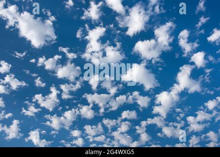 Foto di riserva per i Web site della rivista di tempo parzialmente cielo blu nuvoloso. Polpette di cotone nubi palla Foto Stock