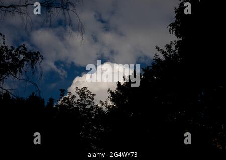 Nuvola sullo sfondo della foresta. Una nube bianca cou nomade. Un paesaggio naturale con una foresta scura. Foto Stock