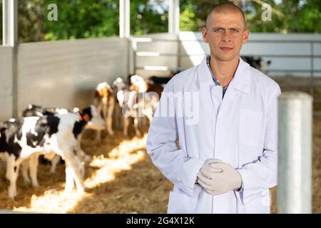 Ritratto di veterinario maschile che è in piedi sul suo posto di lavoro vicino alle mucche in fattoria all'aperto Foto Stock