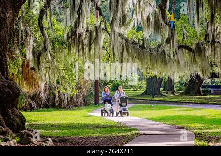 Le donne spingono i passeggini attraverso lo storico boschetto di querce nel New Orleans City Park, 14 novembre 2015, a New Orleans, Louisiana. Foto Stock