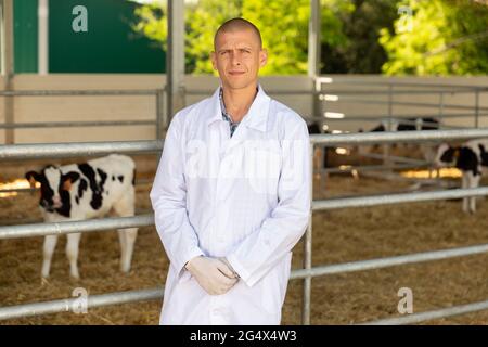 Ritratto di veterinario maschile che è in piedi sul suo posto di lavoro vicino alle mucche in fattoria all'aperto Foto Stock