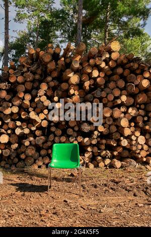 Sedia verde di fronte ai tronchi d'albero Foto Stock