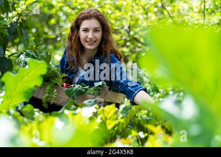 Donna sorridente che raccoglie verdure biologiche fresche in giardino Foto Stock