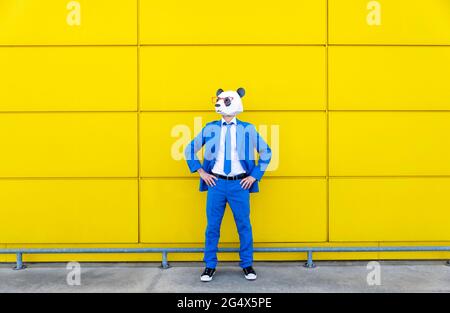 Uomo che indossa una vivace tuta blu e una maschera di panda in piedi davanti alla parete gialla Foto Stock