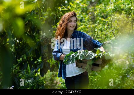 Giovane donna che tiene la cassa con le verdure in giardino Foto Stock