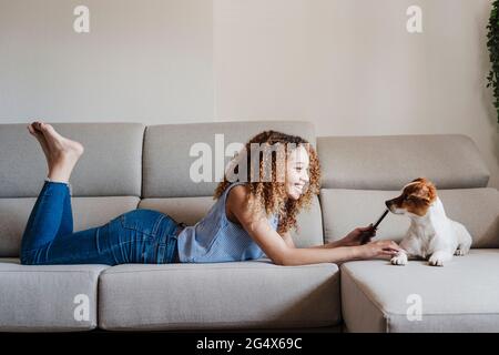 Donna dai capelli ricci che strinse Jack Russell Terrier mentre si stese sul divano in soggiorno Foto Stock