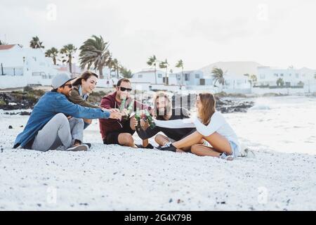 Amici maschili e femminili che tostano le bottiglie di birra mentre si siedono sulla spiaggia Foto Stock