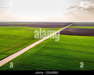 Drone view of country road cutting through wheat fields in summer Foto Stock
