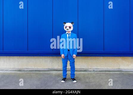 Uomo che indossa una vivace tuta blu e una maschera di panda in piedi davanti alla parete blu Foto Stock