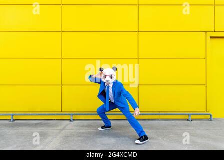 Uomo che indossa una vivace tuta blu e una maschera di panda in piedi in posizione di combattimento davanti alla parete gialla Foto Stock