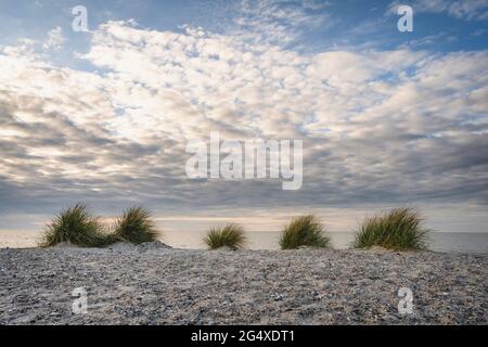 Tramonto nuvoloso sulla spiaggia dell'isola di Fehmarn Foto Stock