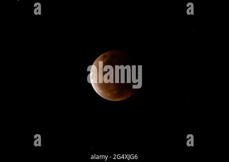 l'eclissi lunare totale produce la superluna rossa del sangue prelevata dalla costa del sole nel queensland. australia. emisfero meridionale. Foto Stock