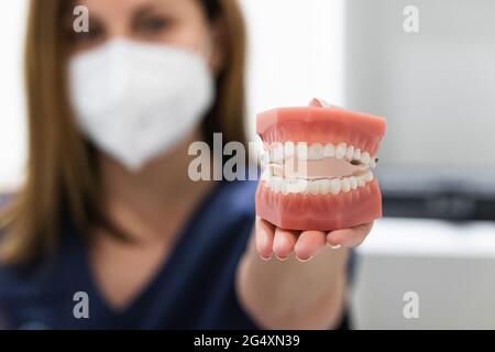 Dentista femminile che tiene dentarie in clinica durante COVID-19 Foto Stock