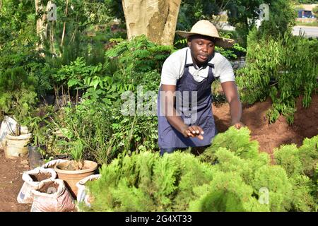 un giardiniere africano che lavora in giardino Foto Stock