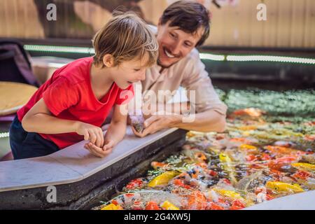 Papà e figlio nutrono i pesci koi. Bel pesce koi che nuotano nello stagno Foto Stock