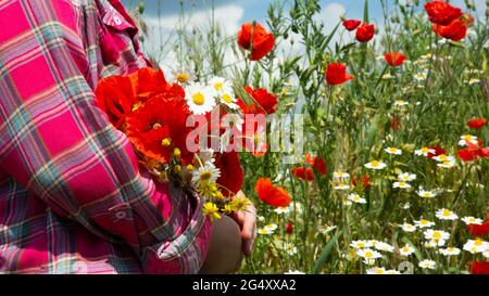 Una ragazza nel campo raccoglie un bouquet di fiori selvatici. La ragazza si trova sullo sfondo di fiori selvatici e tiene papaveri e margherite nelle sue mani. Foto Stock