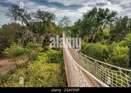 Il ponte sospeso pedonale sul bosco subtropicale nel Santa Ana National Wildlife Refuge, vicino Pharr, Texas, USA Foto Stock
