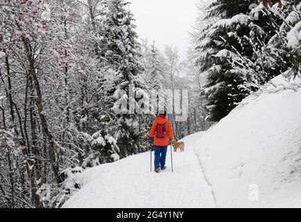 Les Deux Alpes (alpi francesi, Francia sud-orientale): La stazione sciistica coperta di neve in inverno. Attività ricreative durante l'epidemia di Coronavirus come sk Foto Stock