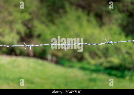 Primo piano di una recinzione in filo d'acciaio contro uno sfondo verde fuori fuoco. La fotografia è presa in formato orizzontale ed ha il verde come predominante Foto Stock