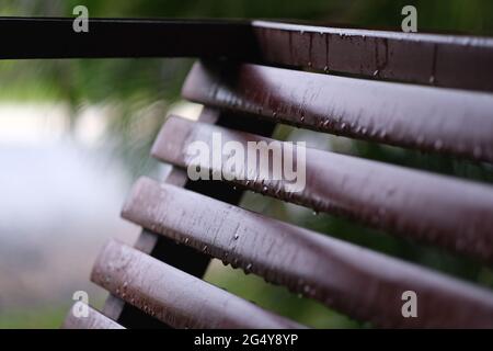 Una bella panca di legno con gocce di pioggia, di fronte al giardino verde offuscato Foto Stock