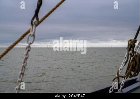 Kentish Flats offshore eolico fattoria vista da 'Edith May' storica barca a vela nel Tamigi estuario, Kent, Inghilterra. Foto Stock