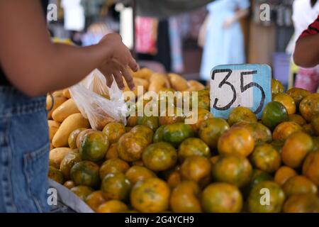 Una donna sceglie le arance al mercato remoto del villaggio, con il pricetag scritto a mano Foto Stock