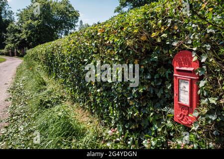 La casella postale villaggio immerso nella siepe a Bag Enderby, un borgo nel Lincolnshire Wolds Foto Stock