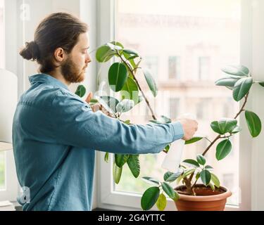 Giovane uomo bearded in camicia blu spruzzando piante verdi di casa in vaso di fiori in ufficio Foto Stock