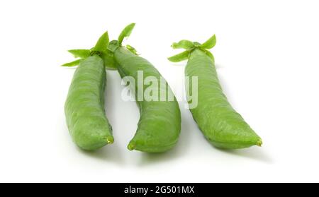 Cialde di piselli verdi fresche isolate su sfondo bianco Foto Stock