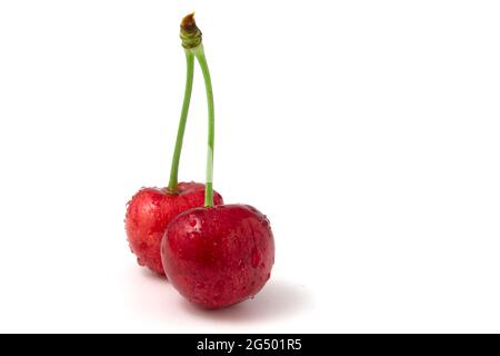 Due ciliegie dolci isolate su sfondo bianco. Bacche con gocce di rugiada Foto Stock