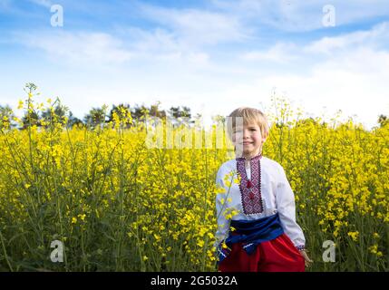 Ragazzo carino con abiti nazionali ucraini, camicia ricamata e pantaloni rossi, sullo sfondo di un campo di colza in fiore. Orgoglio, simbolo del paese Foto Stock