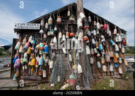 Buoys Hanging su Lobster Shack, Cape Neddick Lobster Pound, Cape Neddick, York, Maine, Stati Uniti Foto Stock