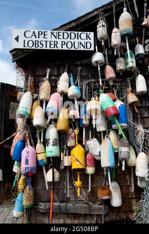 Buoys Hanging su Lobster Shack, Cape Neddick Lobster Pound, Cape Neddick, York, Maine, Stati Uniti Foto Stock