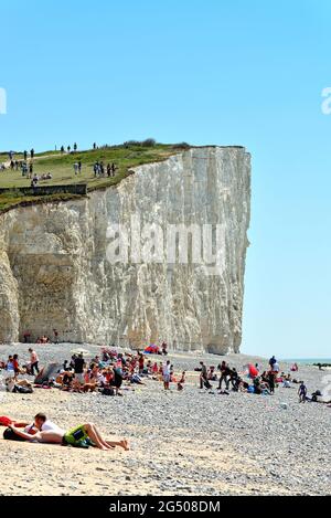 Le instabili scogliere di gesso a Birling Gap come visto dalla spiaggia in un caldo giorno estivo con la gente sul bordo della scogliera Eastbourne East Sussex Inghilterra Foto Stock