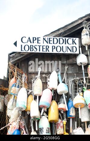 Buoys Hanging su Lobster Shack, Cape Neddick Lobster Pound, Cape Neddick, York, Maine, Stati Uniti Foto Stock