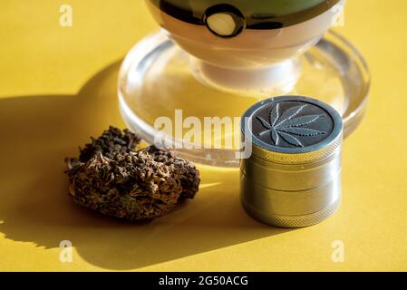 Cannabis marihuana con erbacce mediche su sfondo giallo brillante Foto Stock