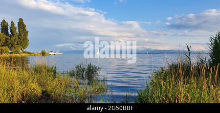 Lago di Costanza, Immenstaad Germania Luglio 2020 nella vista serale del lago e delle montagne con canne, molo e barca a vela sul lago in bea Foto Stock