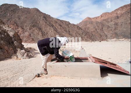 EGITTO, SINAI: Insieme a Bedouin Soliman al Ashrab della tribù Mzaina, 2 cammelli e 2 cani ho camminato per quattro giorni attraverso il deserto vicino a. Foto Stock