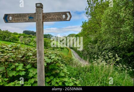 Indicazioni per Glyndwr's Way vicino a Llangynllo, Powys, Galles Foto Stock