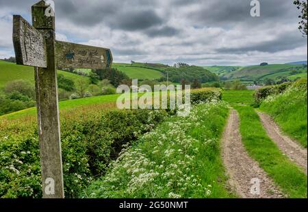 Indicazioni per Glyndwr's Way vicino a Llangynllo, Powys, Galles Foto Stock