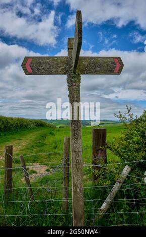 Glyndwr's Way tra Llangynllo e Knighton, Powys, Galles. Foto Stock