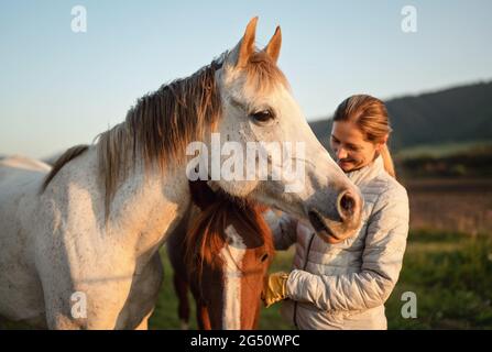 Cavallo arabo bianco, pomeriggio d'autunno, dettaglio sulla testa, blurred sorridente giovane donna in giacca calda che accarezza un altro animale marrone dietro Foto Stock