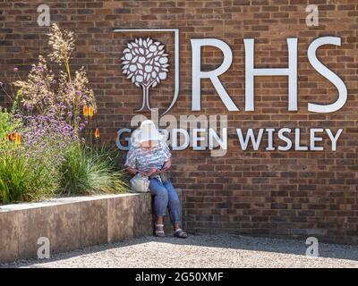 RHS Garden Sign ingresso Wisley con la signora seduta prendendo un po 'ombra in alta estate mentre si controlla il suo cellulare intelligente Wisley Gardens Surrey UK Foto Stock