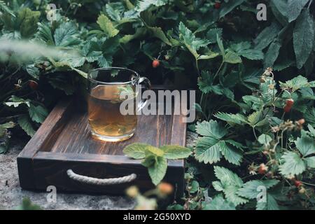 Una tazza di tè alla menta su un vassoio di legno nel giardino con fragole selvatiche, natura e vita lenta concetto Foto Stock