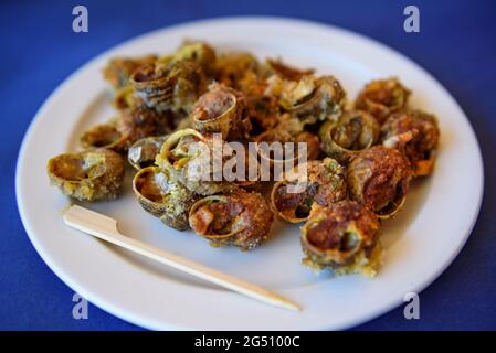 Cargols a la launa (lumache di terra cotte su una teglia) nel ristorante Can Josep nel villaggio di Bot (Terra alta, Catalogna, Spagna) Foto Stock