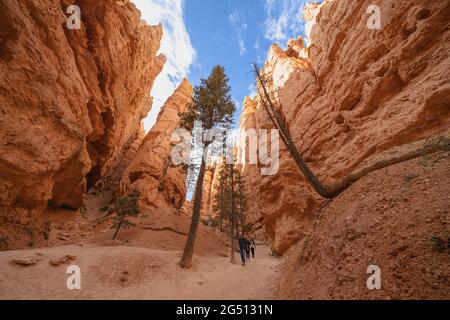 Utah, USA - 15 maggio 2021: Escursionisti lungo il Queens Garden e Navajo Loop Trail nel Bryce Canyon National Park Foto Stock